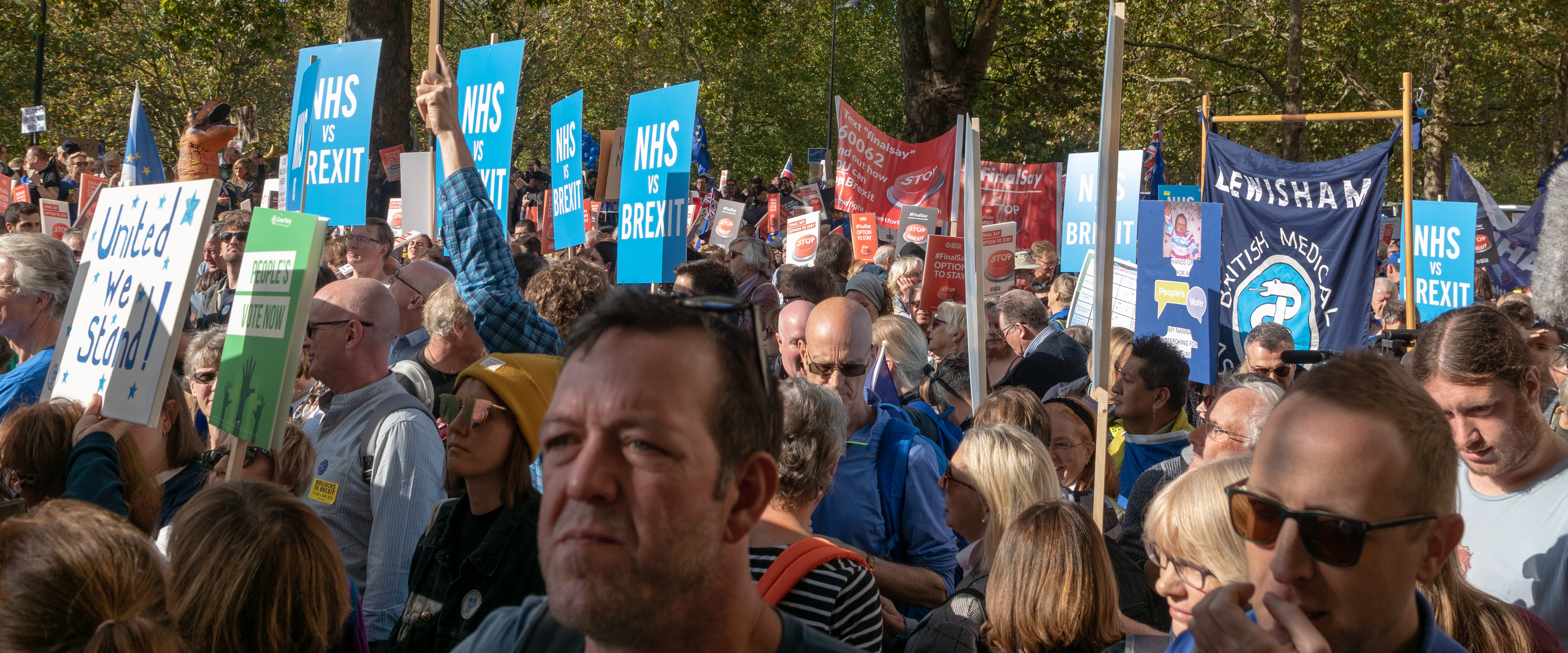 People's Vote march with NHS vs Brexit banner