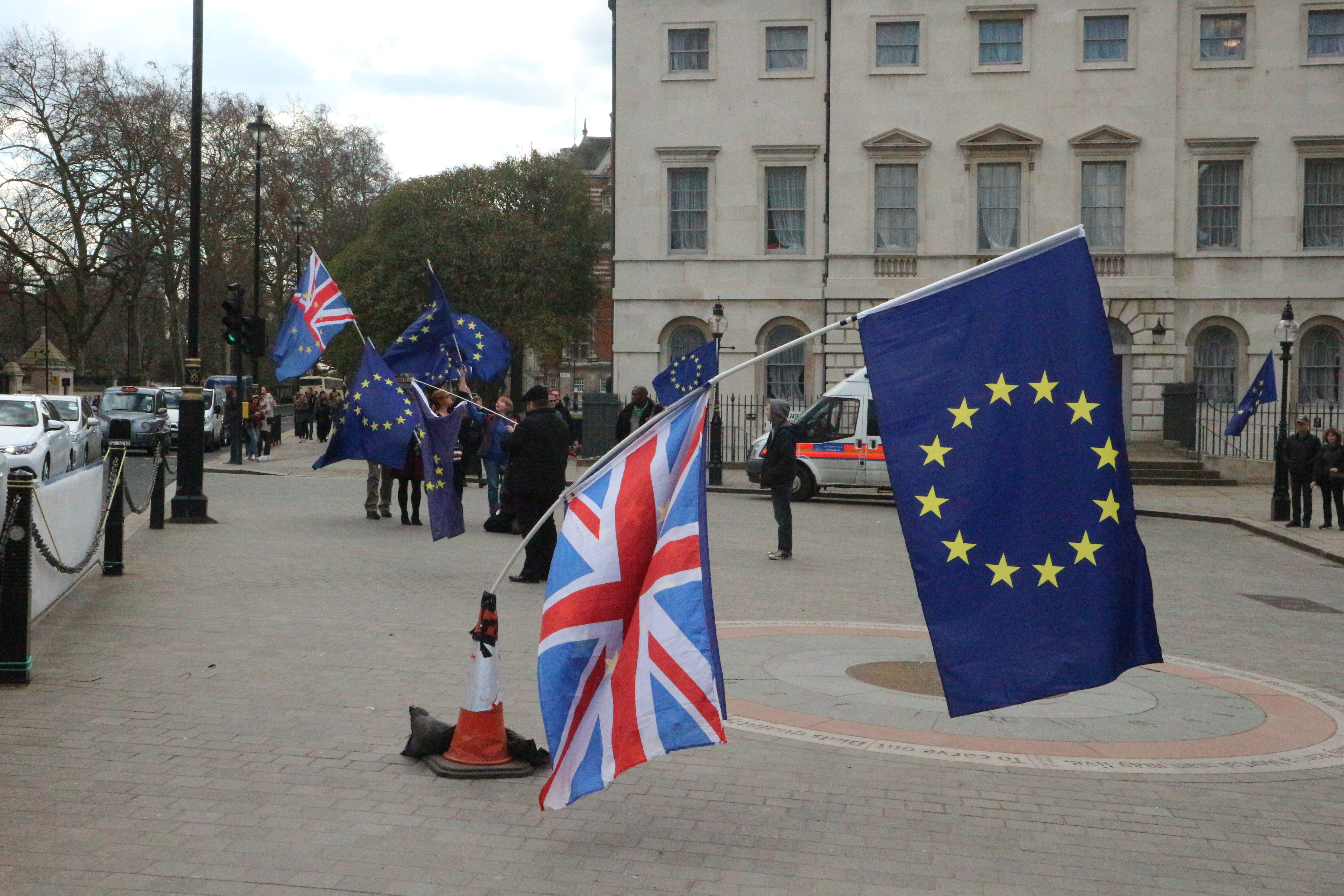 Anti-Brexit campaigners at Westminster